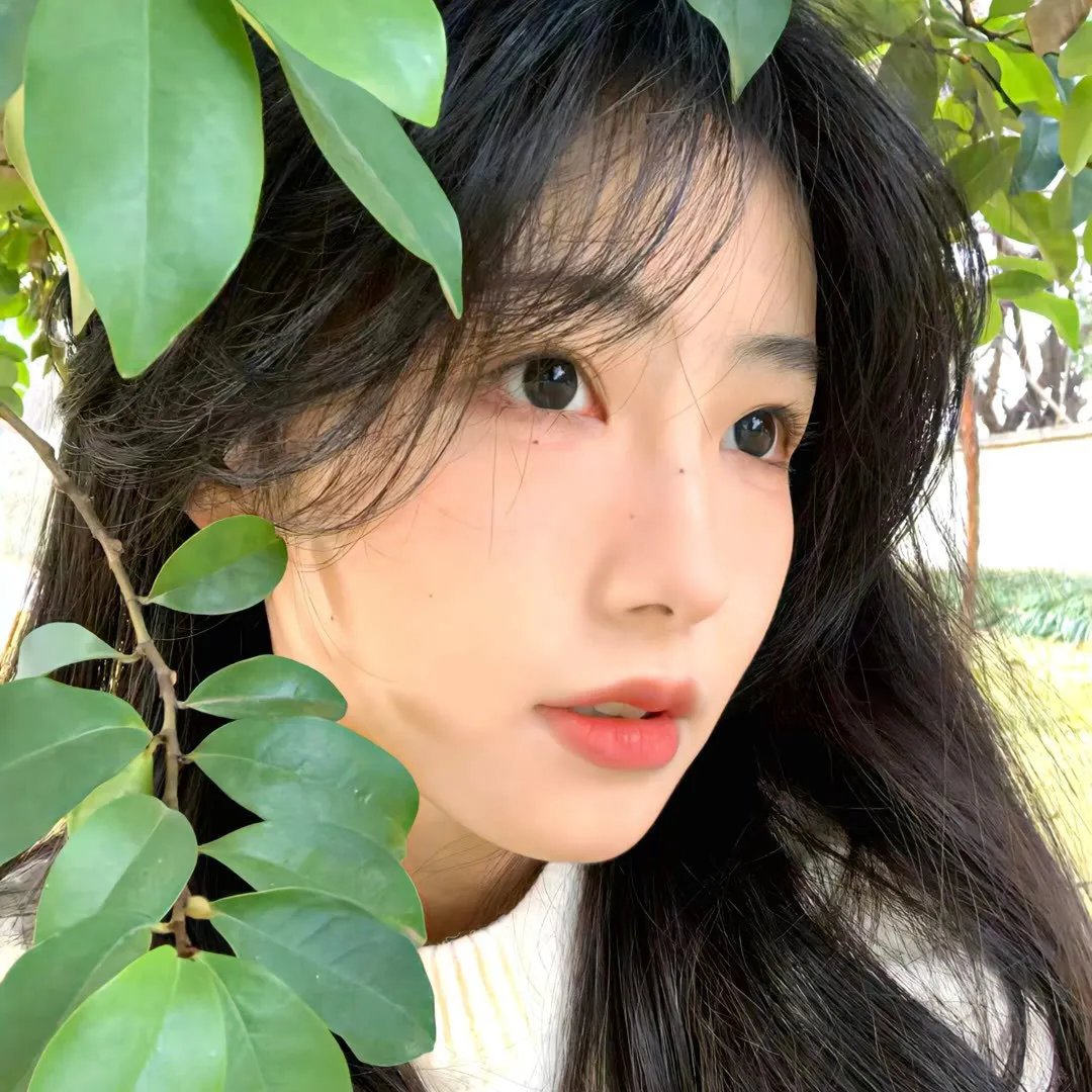 柳绿花红